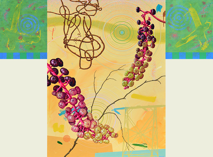 Painting of pokeweed and bittersweet vine